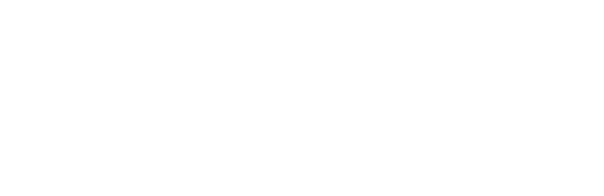 ツアー内容